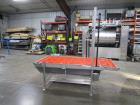 2013 Pizzamatic Band Conveyor